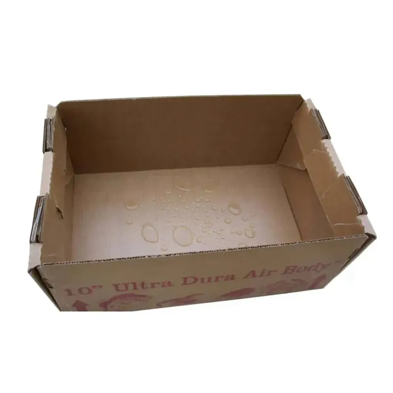 Bakit Nagiging Mahalaga ang Wax Corrugated Cartons para sa Cold Chain Packaging?