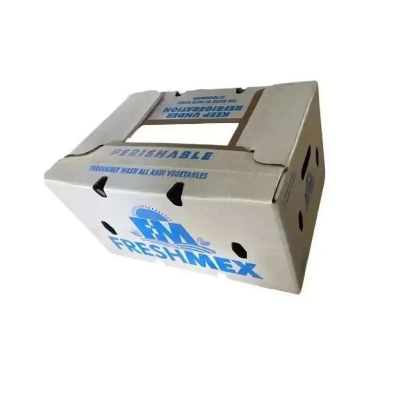 Logo na naka -print na kahon ng corrugated box